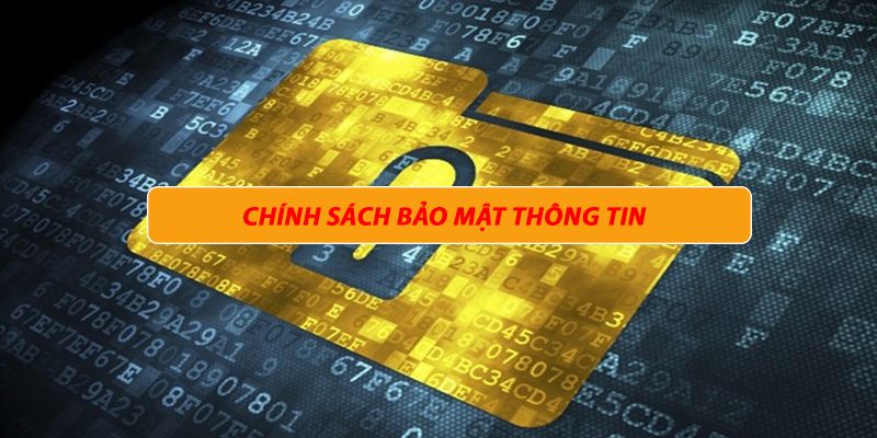 Quyền lợi đi kèm trách nhiệm người dùng