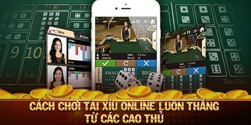 Bật mí một số mẹo chơi tài xỉu online đơn giản